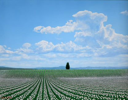 塚原貴之「ポプラの見えるじゃがいも畑（富良野）」油絵・F6号　作品全体拡大画像