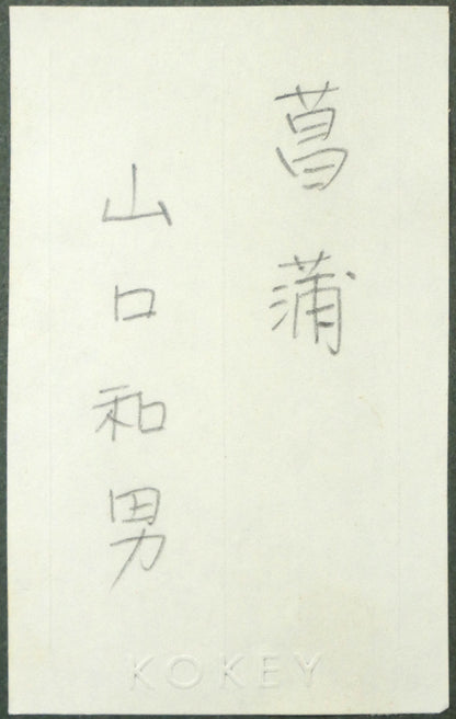山口和男「菖蒲」油絵・M8号　額裏拡大画像1
