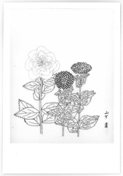 山下清「だりや」色ペン画・6号色紙・鑑定書（裏）