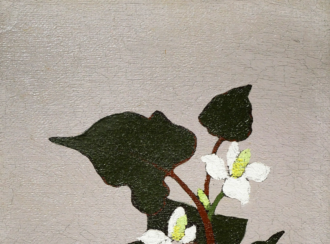 山崎貴稔「蕺草（ドクダミ）」油絵・SM　拡大画像1