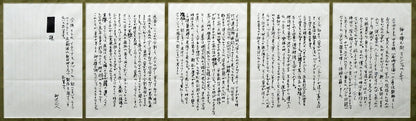 柳沢正人「神の棲む街　フィレンツェ（イタリア）」日本画（分割画面）・10号（43.5×52.5cm）　作品解説額装　全体拡大画像