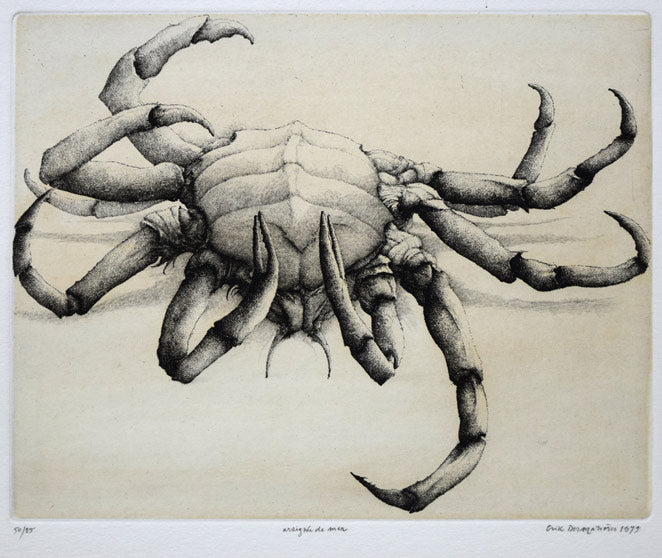 エリック・デマジエール「Araigne　de　mer」銅版画　作品全体拡大画像