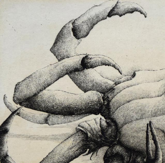 エリック・デマジエール「Araigne　de　mer」銅版画　拡大画像1