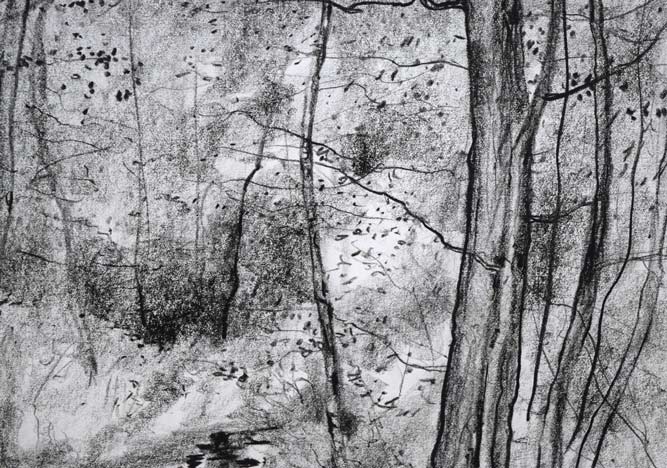 ガントナー「Allée　forestière（森の並木道）」紙にコンテ（素描）　拡大画像2