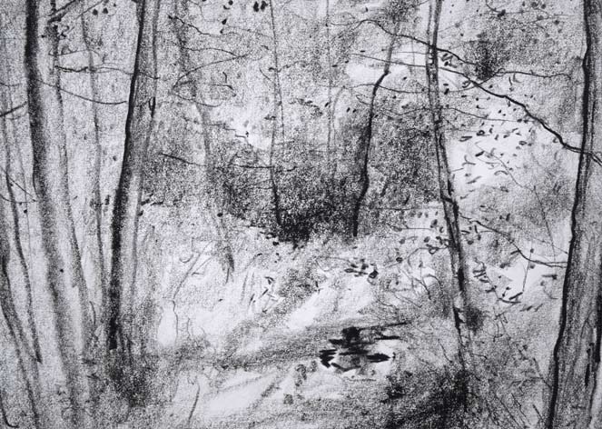 ガントナー「Allée　forestière（森の並木道）」紙にコンテ（素描）　拡大画像3