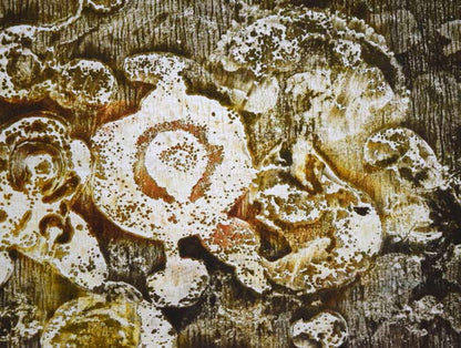 一原有徳「無題（茶）」銅版画・1995年作　拡大画像3