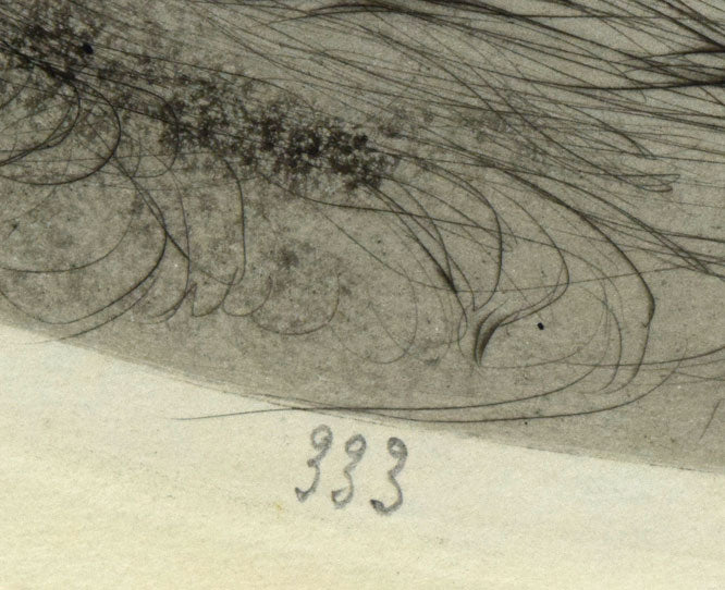 ルイ・イカール「オウム」銅版画（エッチング）・1925年作　拡大画像