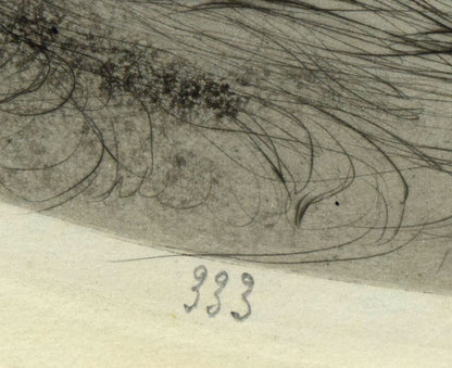 ルイ・イカール「オウム」銅版画（エッチング）・1925年作　拡大画像
