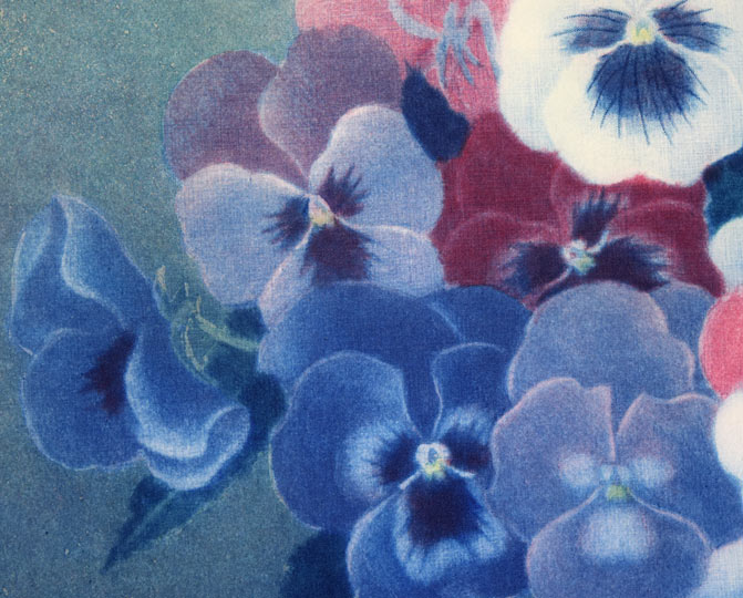 伊藤倭子「三色菫」銅版画　拡大画像1