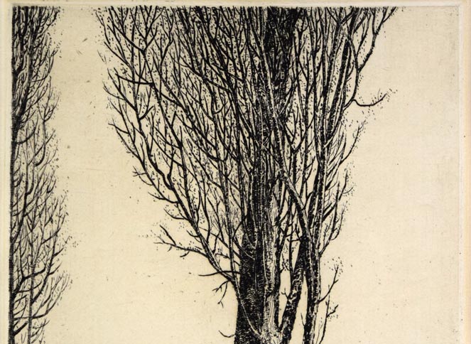 駒井哲郎「樹」エッチング（銅版画）　拡大画像1