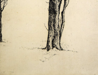 駒井哲郎「樹」エッチング（銅版画）　拡大画像2