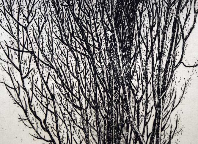 駒井哲郎「樹」エッチング（銅版画）　拡大画像3