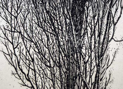 駒井哲郎「樹」エッチング（銅版画）　拡大画像3