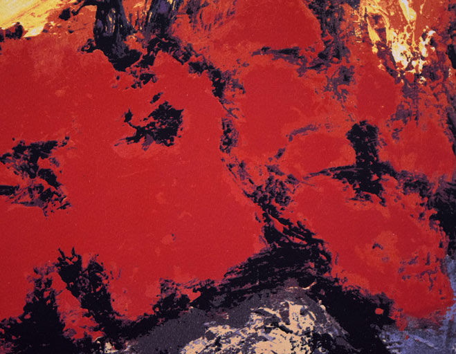 三岸節子「花ヴェロンにて」リトグラフ　拡大画像2