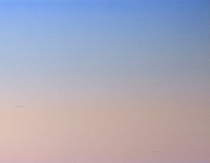 森田哲隆「利尻岳」油絵・F50号　拡大画像2