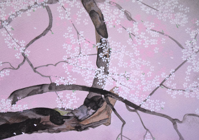 中島千波「臥龍櫻」シルクスクリーン版画　拡大画像2
