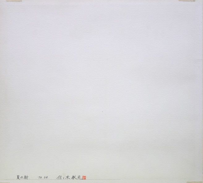 佐々木敏光「夏の樹」水彩画（縦36.5×横41.3ｃｍ）　作品裏側画像
