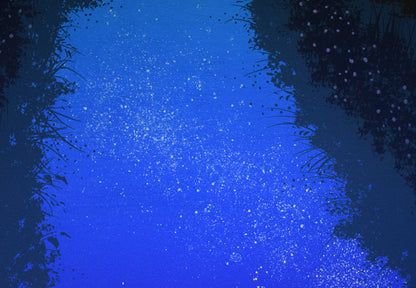 千住博「水」リトグラフ　拡大画像9