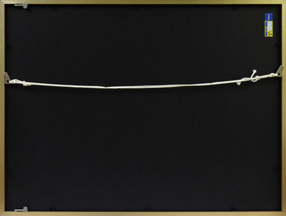 津田耕「Swing」ジグレー版画　額縁裏画像
