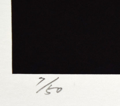 安田侃「闇の中のいぶき」シルクスクリーン版画　限定番号部分（ed，7/50）